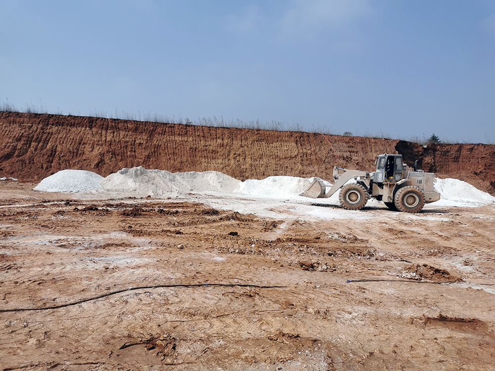 461cec2055网缩略图